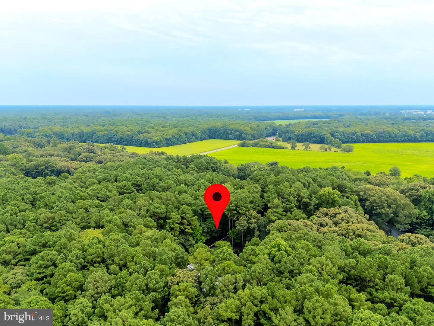 22095 Wilson Road Georgetown, DE 19947 - Photo 126 of 137