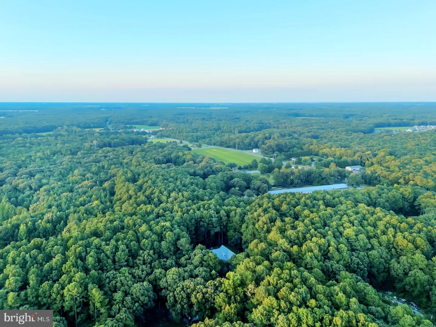 22095 Wilson Road Georgetown, DE 19947 - Photo 129 of 137