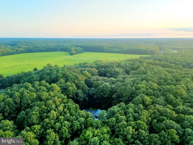 $2,200,000 | 22095 Wilson Road, Georgetown, DE 19947