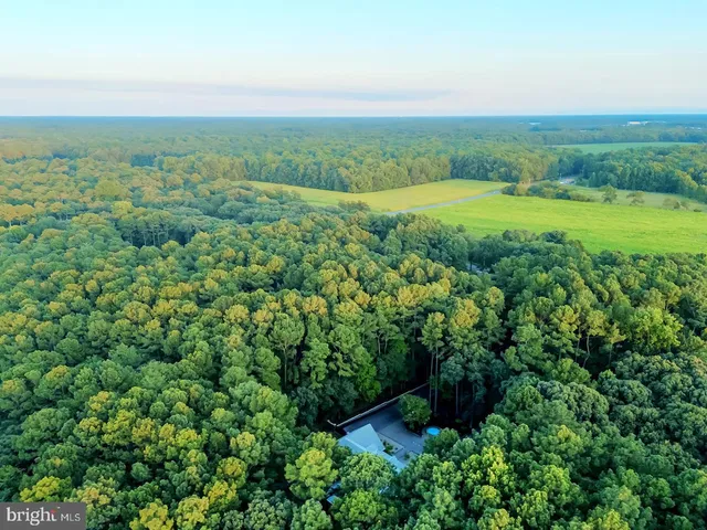 $2,200,000 | 22095 Wilson Road, Georgetown, DE 19947