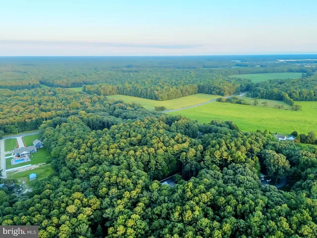 $2,200,000 | 22095 Wilson Road, Georgetown, DE 19947