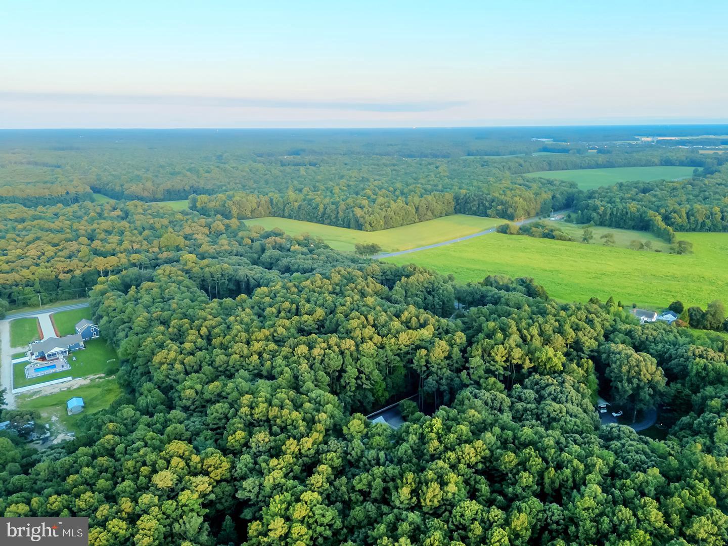 22095 Wilson Road Georgetown, DE 19947 - Photo 135 of 137