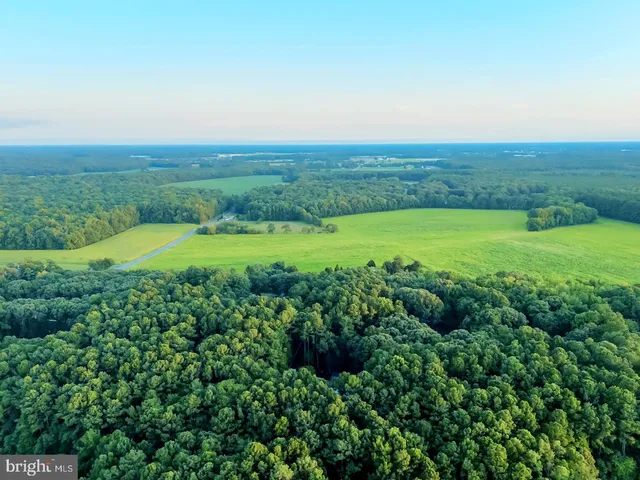 $2,200,000 | 22095 Wilson Road, Georgetown, DE 19947