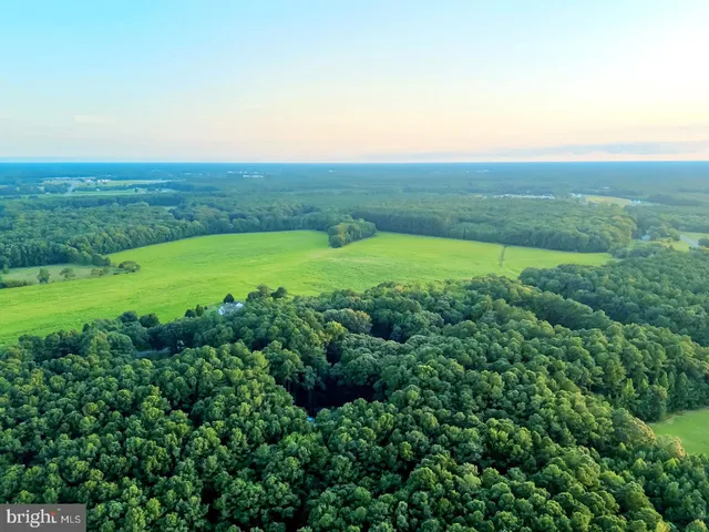 $2,200,000 | 22095 Wilson Road, Georgetown, DE 19947