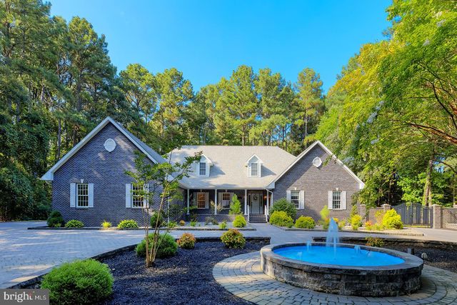 a view of a park with large trees