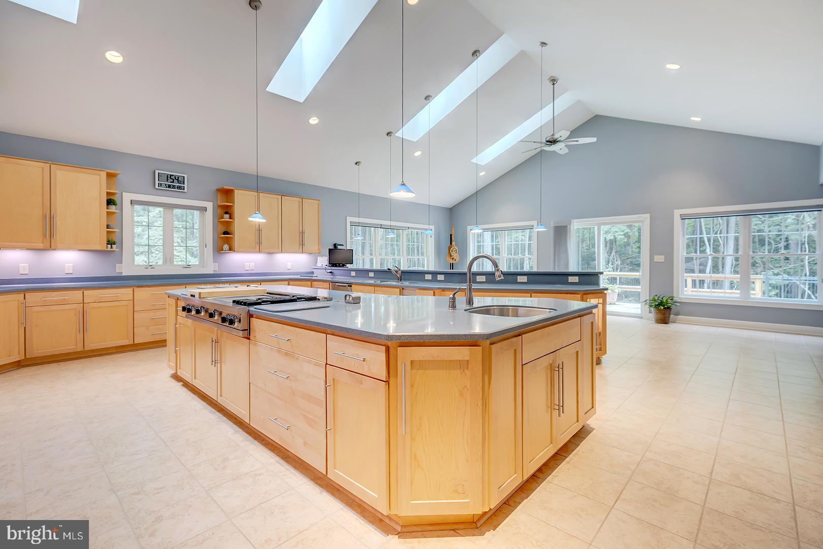 22095 Wilson Road Georgetown, DE 19947 - Photo 24 of 137 Spectacular Kitchen