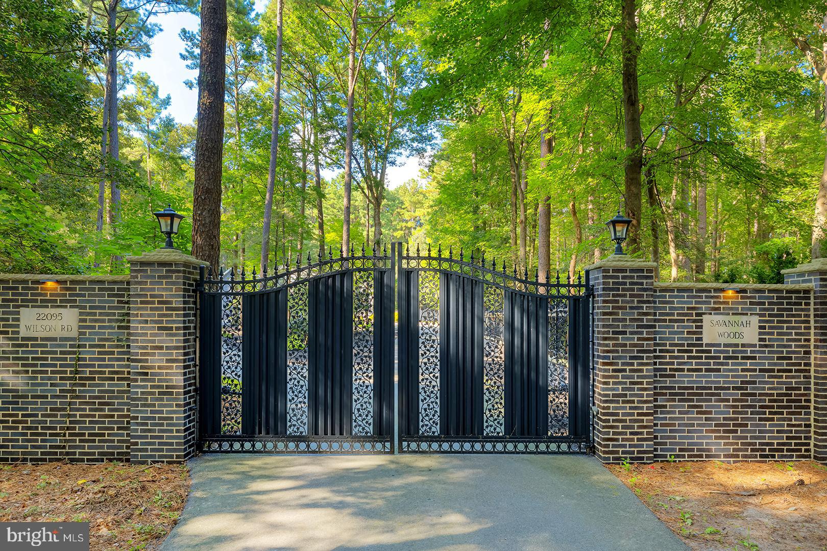 22095 Wilson Road Georgetown, DE 19947 - Photo 3 of 137 Gated property
