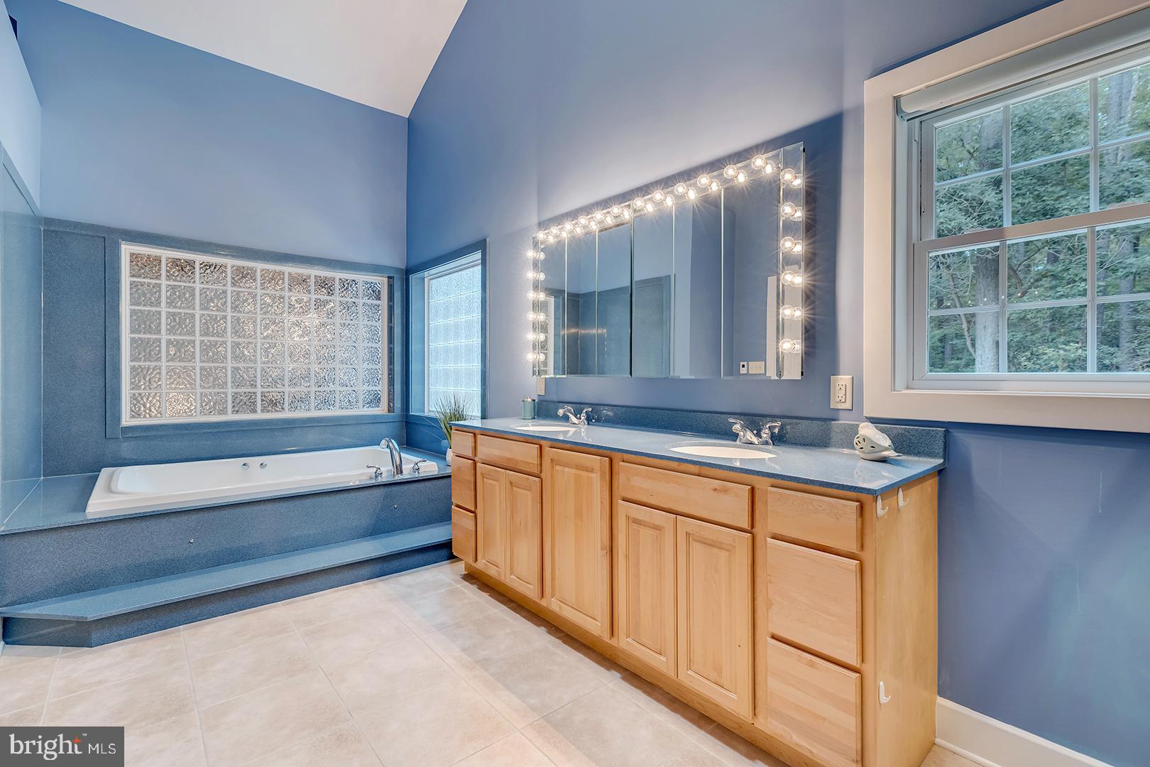 22095 Wilson Road Georgetown, DE 19947 - Photo 44 of 137 Primary Bathroom with soaking tub
