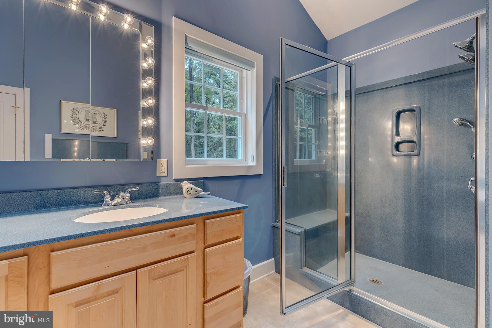 22095 Wilson Road Georgetown, DE 19947 - Photo 48 of 137 a bathroom with a sink and a mirror