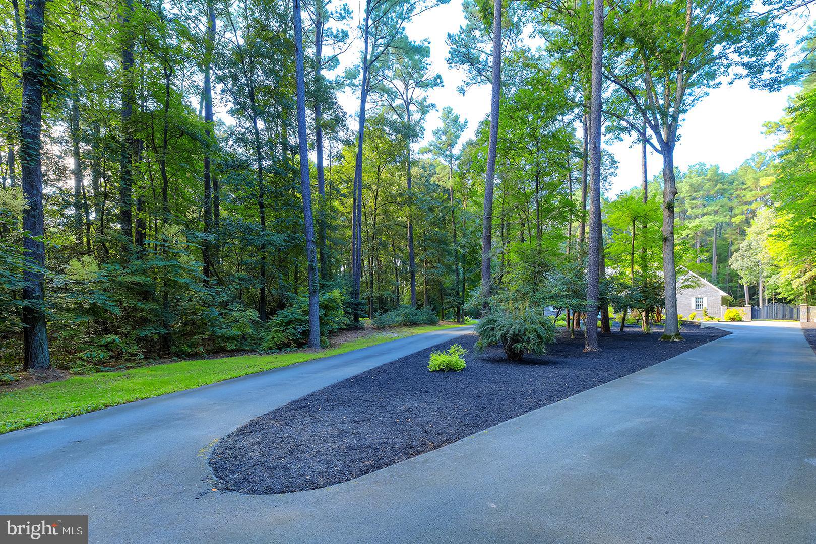 22095 Wilson Road Georgetown, DE 19947 - Photo 5 of 137 a view of a park with large trees