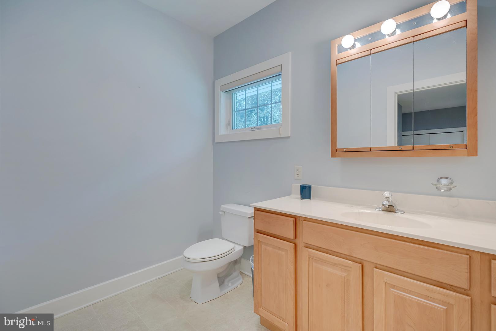 22095 Wilson Road Georgetown, DE 19947 - Photo 65 of 137 a bathroom with a toilet sink and mirror