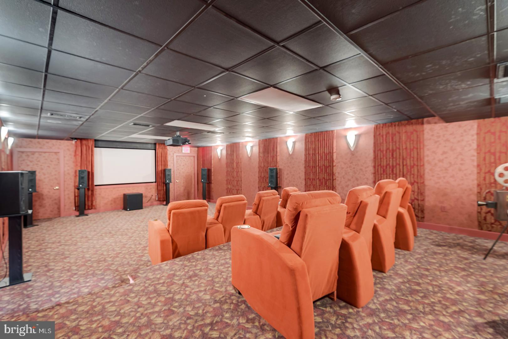22095 Wilson Road Georgetown, DE 19947 - Photo 72 of 137 Movie Theater with specialty ceiling & walls
