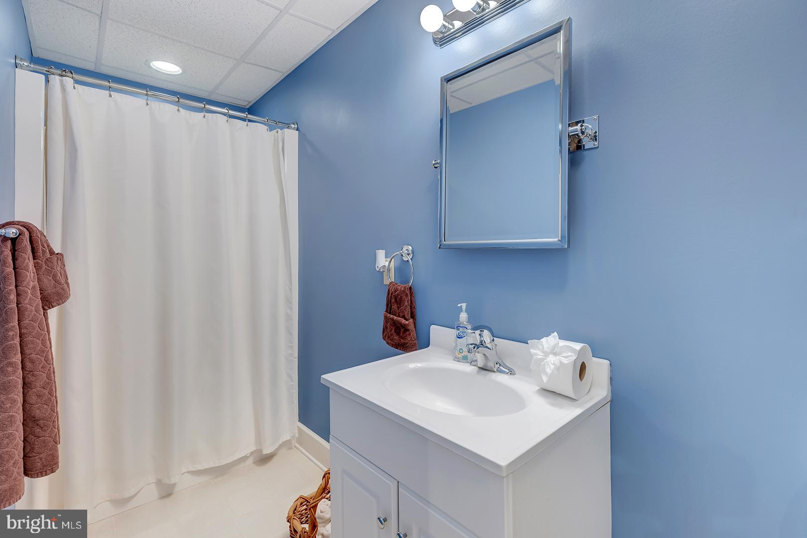 22095 Wilson Road Georgetown, DE 19947 - Photo 85 of 137 a bathroom with a sink and a mirror