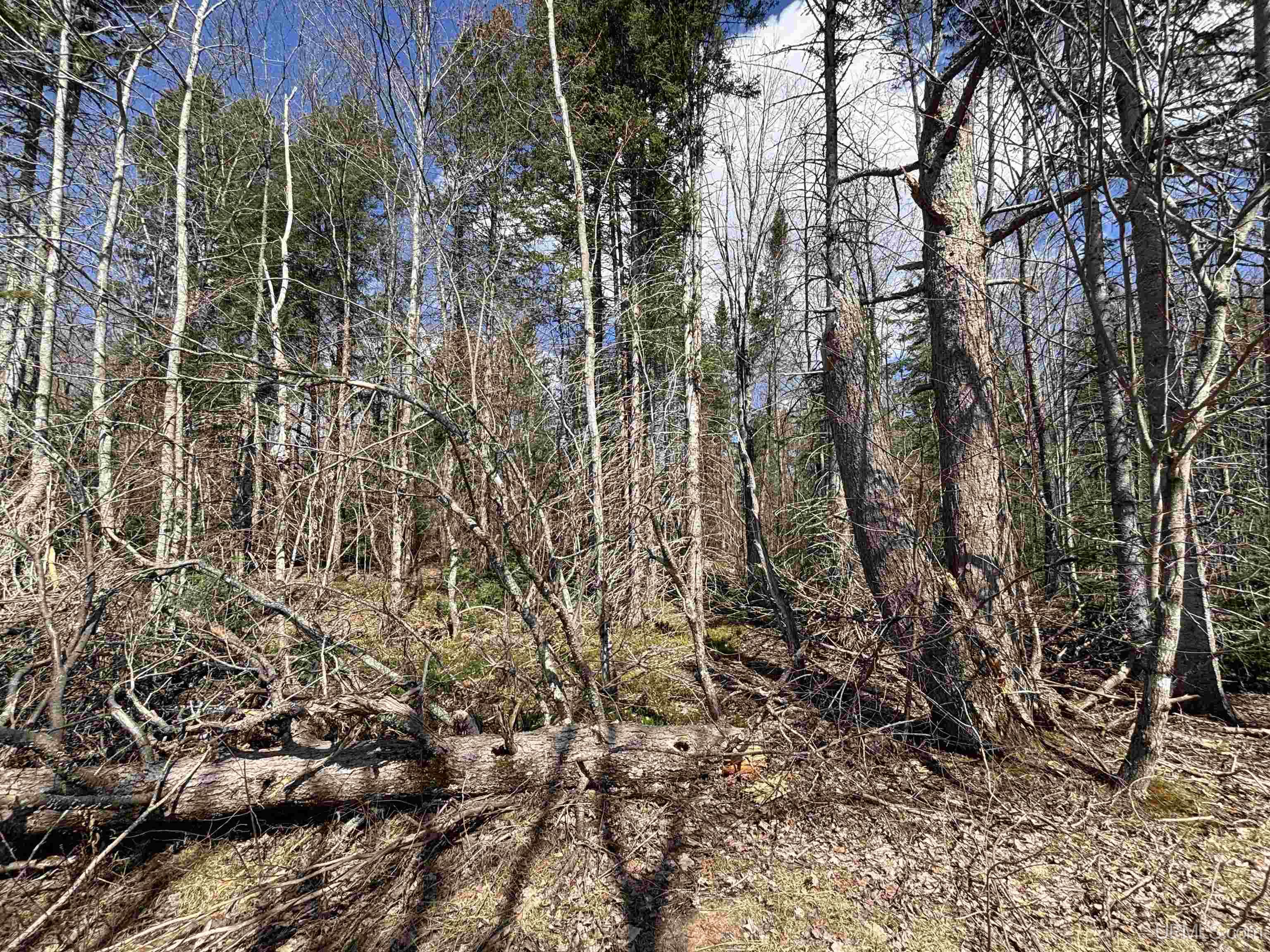 11445 Chesbrough Lake Road Newberry, MI 49868 - Photo 53 of 75