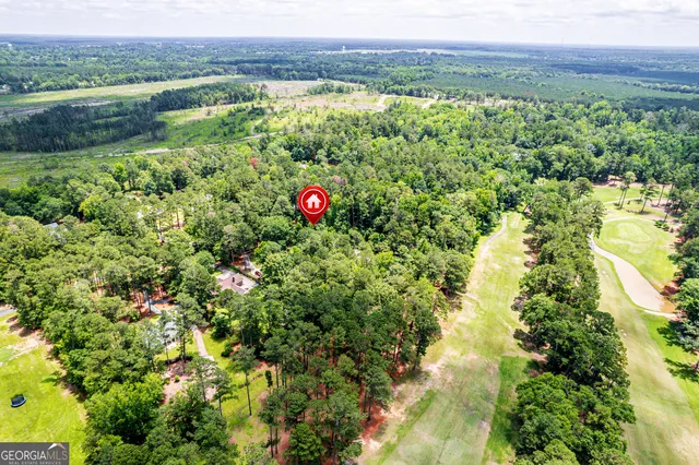 a view of a flower in a garden