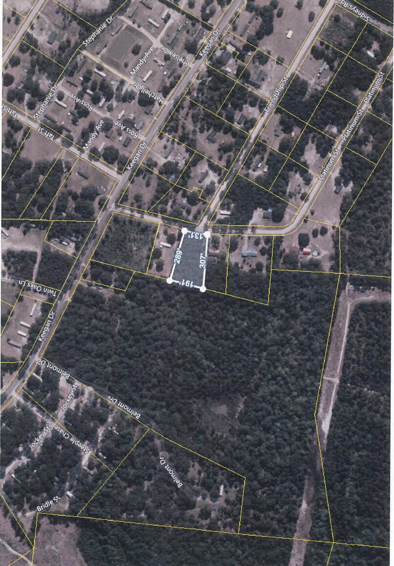 0 Calico Street Walterboro, SC 29488 - Photo 2 of 2 Calico 2