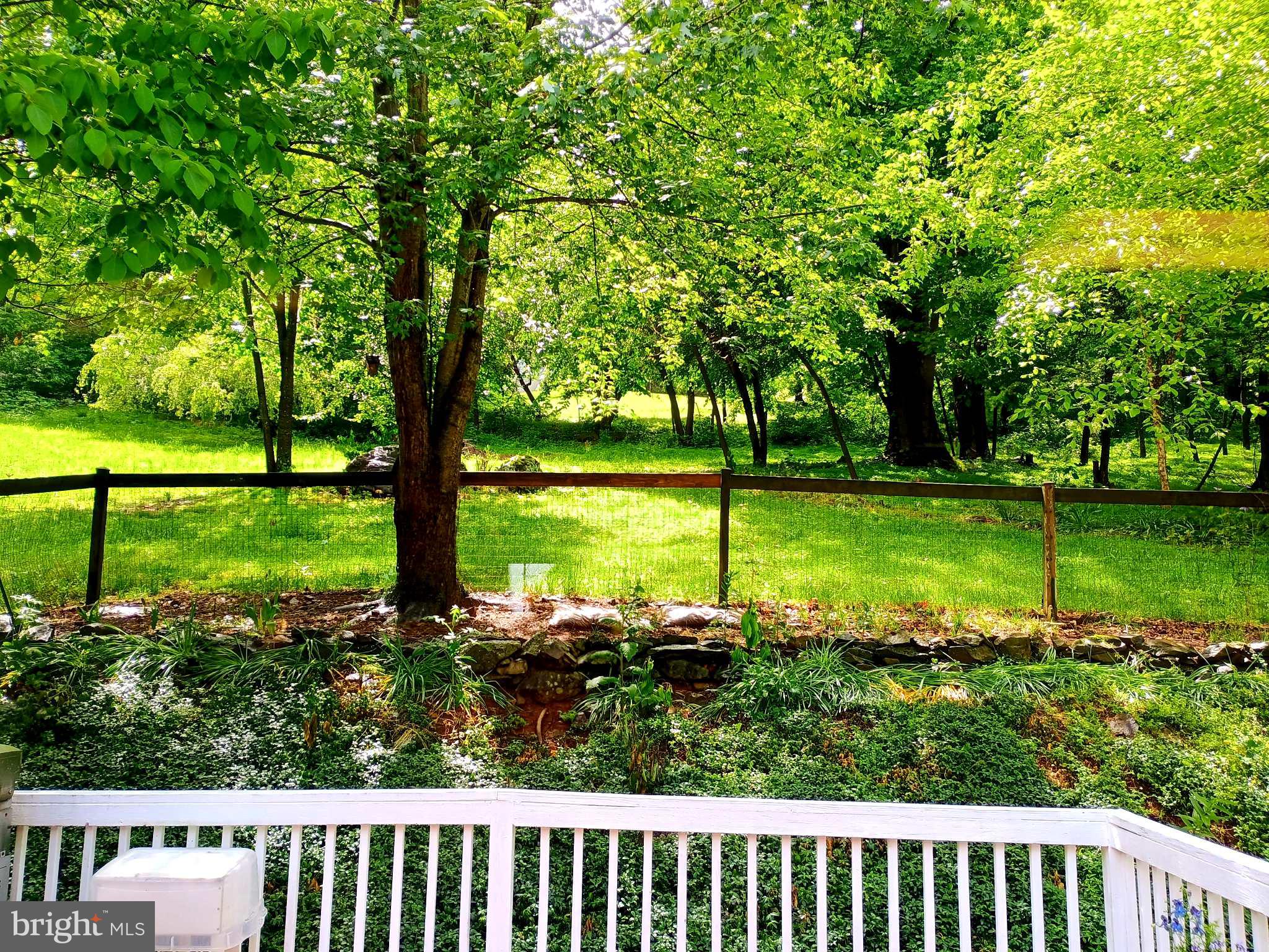 147 Blue Ridge Avenue Chester Gap, VA 22623 - Photo 34 of 46