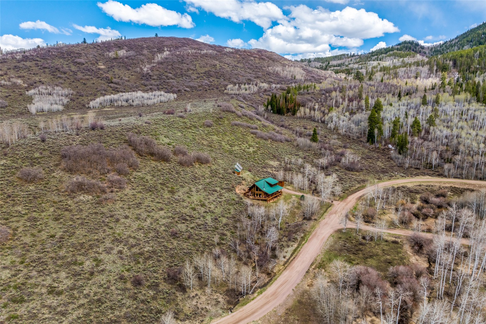 24110 Arapahoe Road Oak Creek, CO 80467 - Photo 36 of 39 a view of lot of trees
