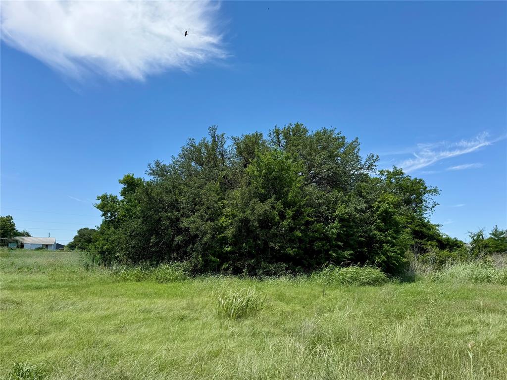 601 Chestnut Street Hico, TX 76457 - Photo 12 of 17