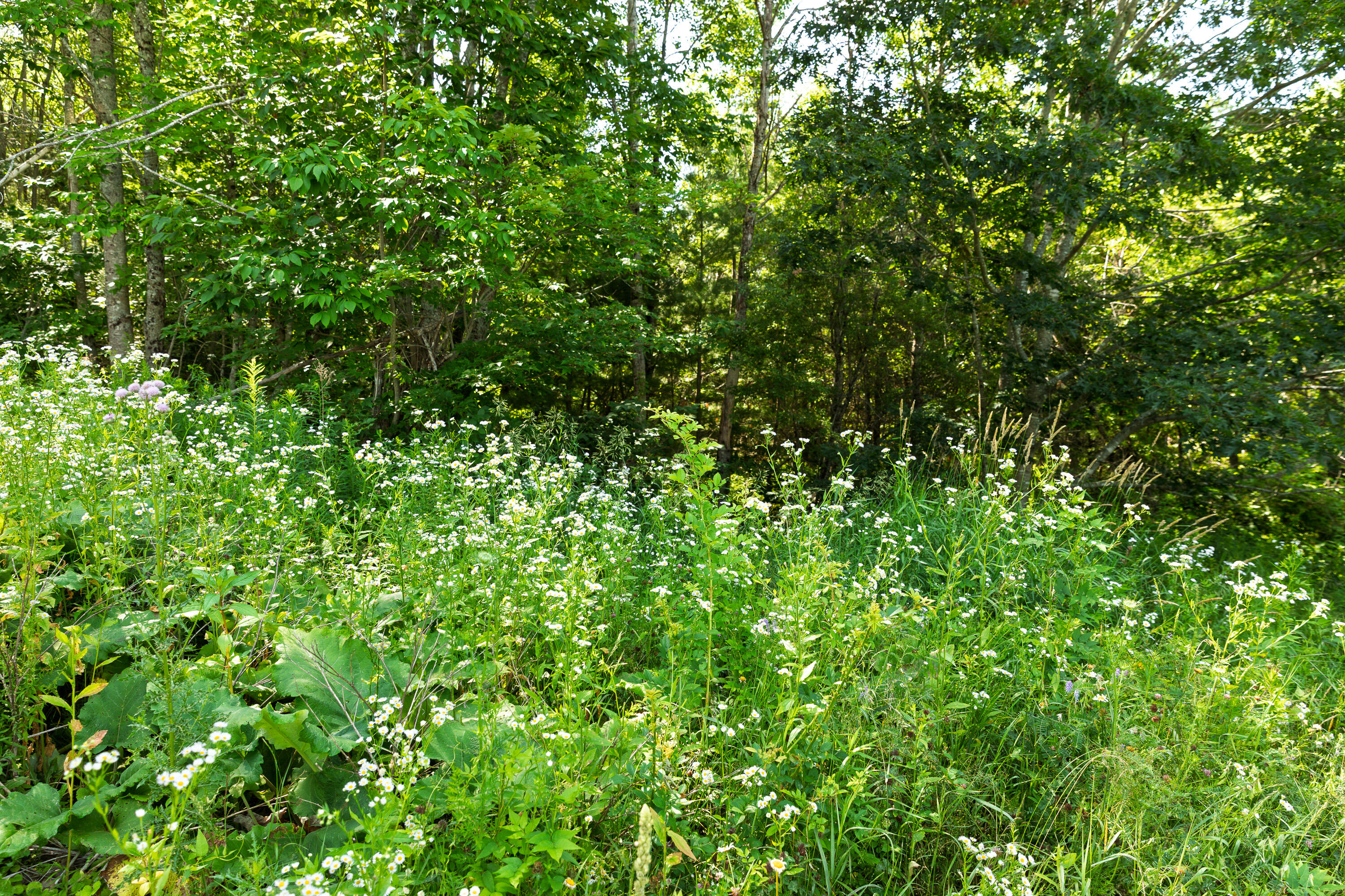 430 Sandy Shores Road Warren, ME 04864 - Photo 9 of 29 12-430SandyShoresRd-AT