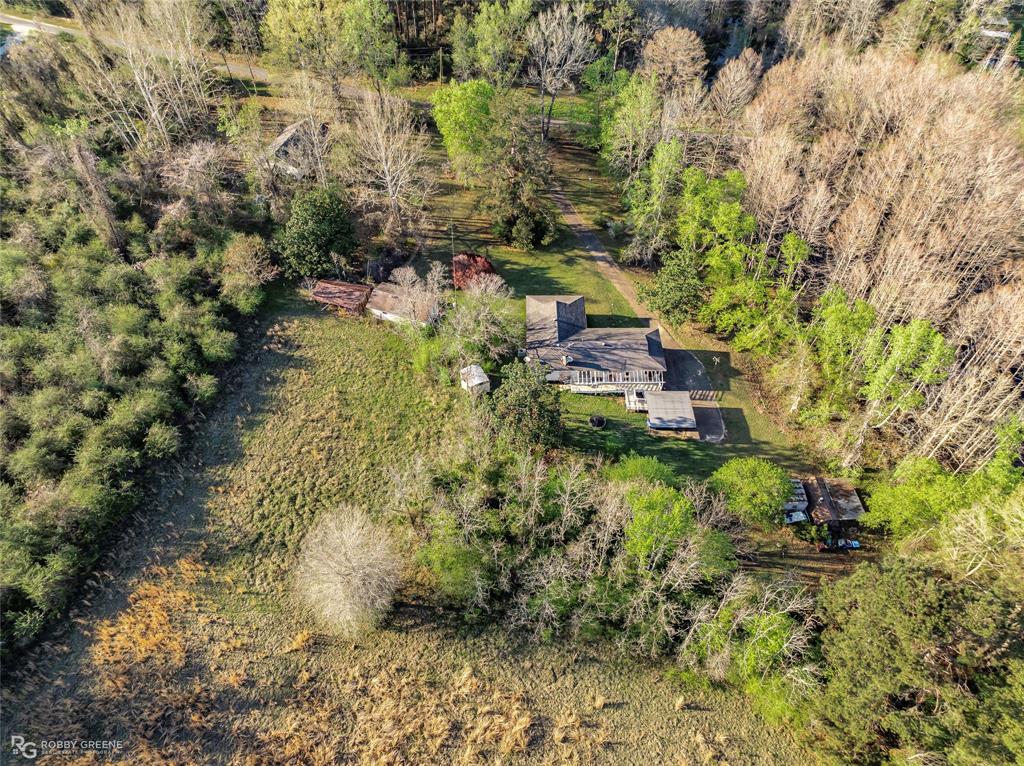 251 Tom Murphy Road Jamestown, LA 71045 - Photo 39 of 40 a view of a yard with plants and large trees