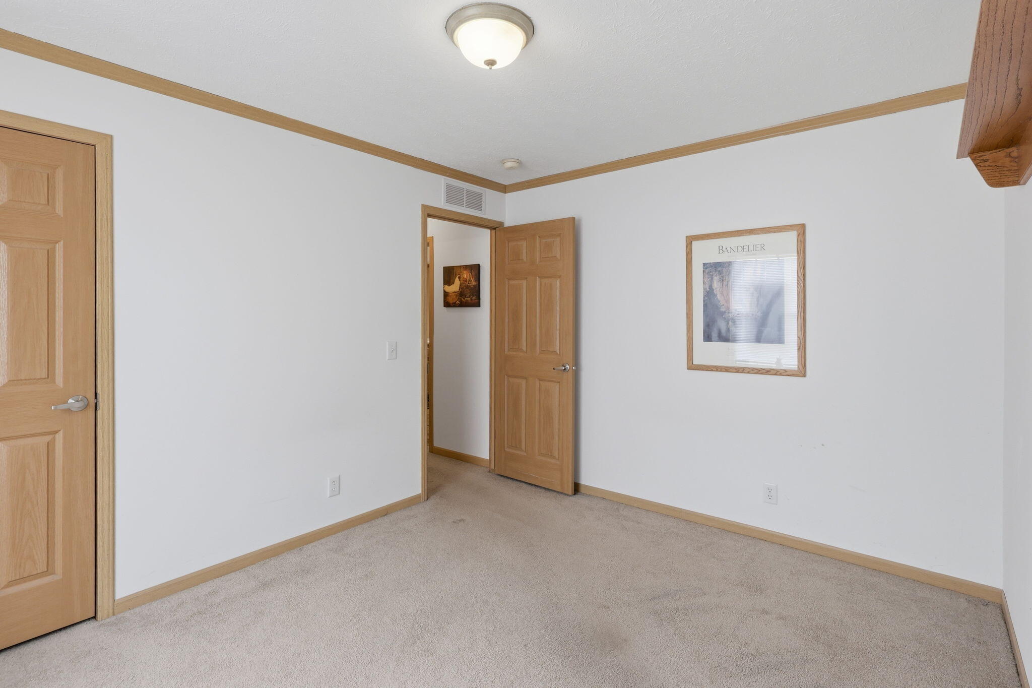 3963 22 Mile Road Tekonsha, MI 49092 - Photo 54 of 55 16-web-or-mls-2Z6A1498