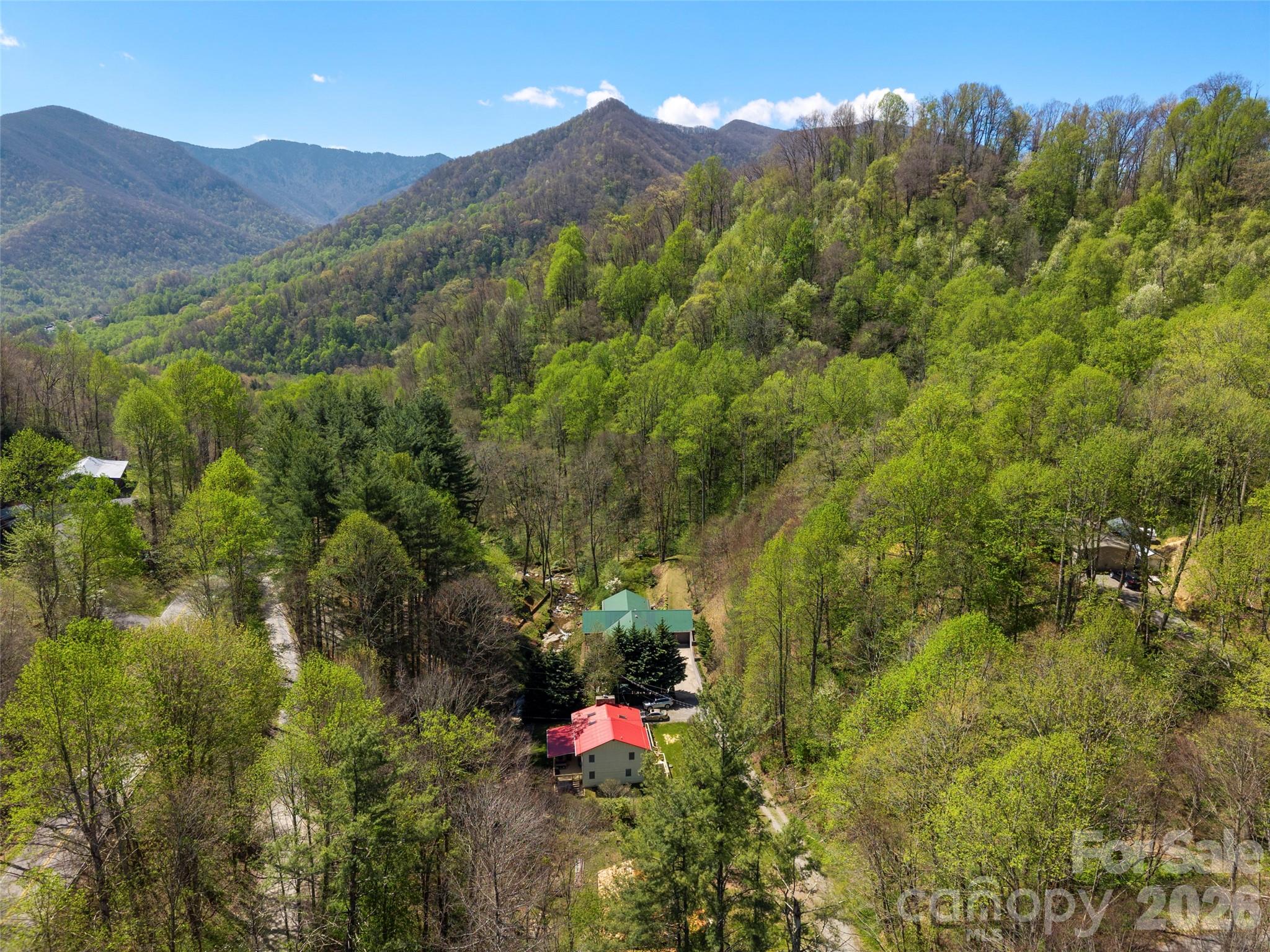 79 Ward Road Maggie Valley, NC 28751 - Photo 47 of 48 a view of a lush green hillside and a building