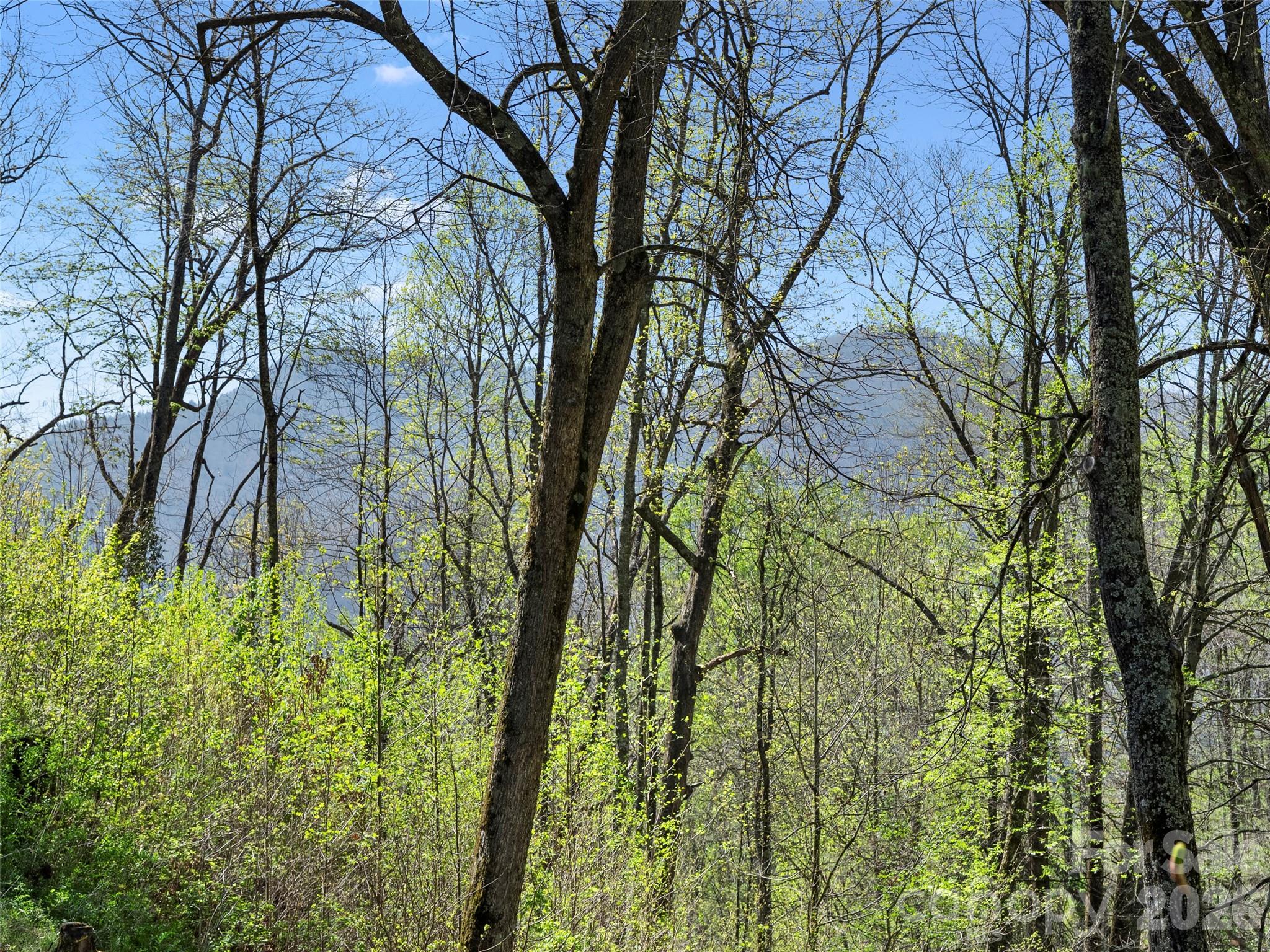79 Ward Road Maggie Valley, NC 28751 - Photo 48 of 48 a backyard of a house with lots of green space