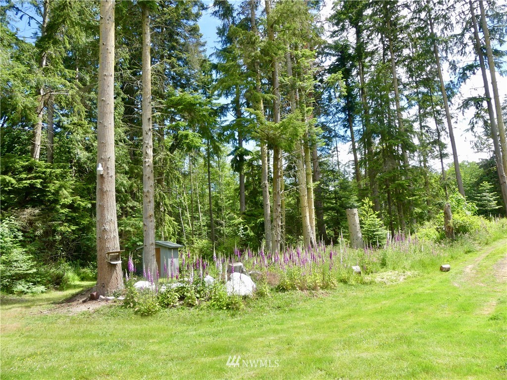 -xxx East Harbor Road Freeland, WA 98249 - Photo 4 of 8