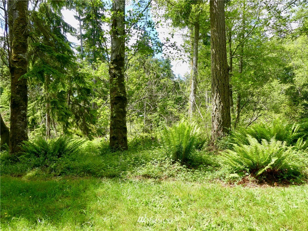 -xxx East Harbor Road Freeland, WA 98249 - Photo 6 of 8