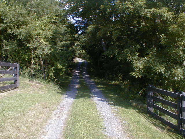 248 Somerset Farm Road Meadow Bridge, WV 25976 - Photo 5 of 98 Gallery Image 5