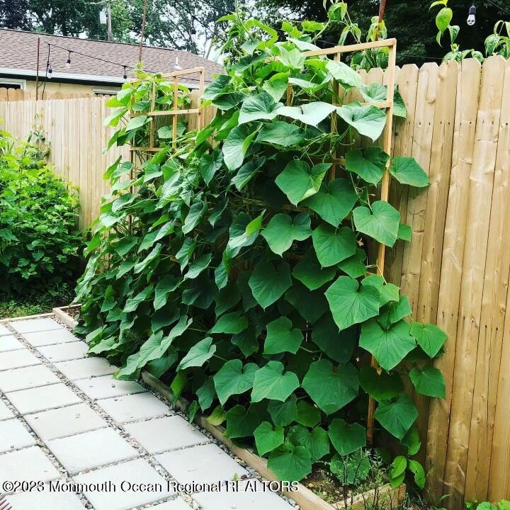 605 West Front Street Red Bank, NJ 07701 - Photo 28 of 40 605 W Front.Garden climber
