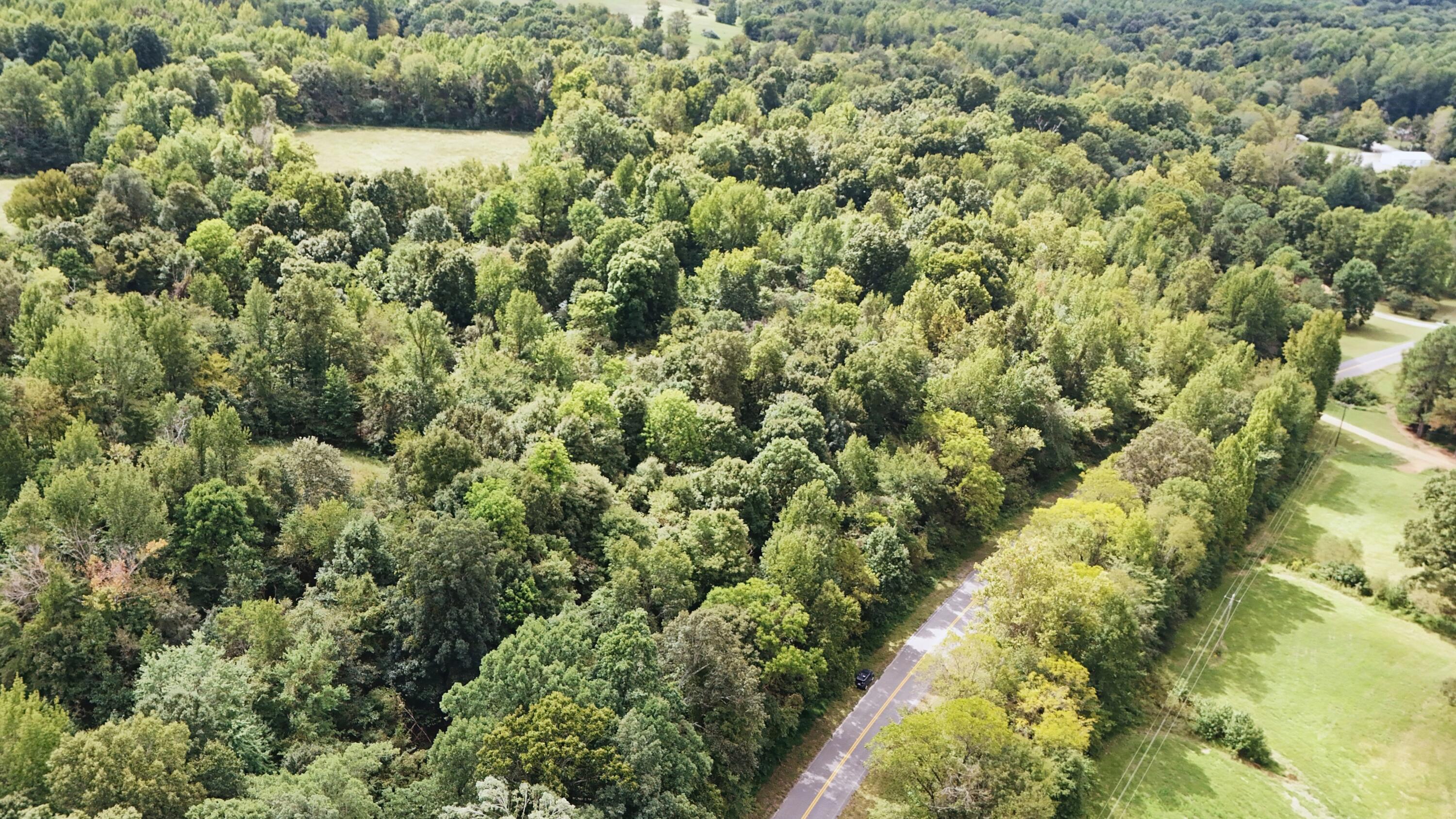 999 Wickliffe Road Wickliffe, KY 42087 - Photo 2 of 13 01