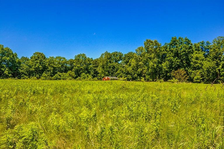 6694 Benton Road Jackson, MI 49201 - Photo 35 of 59 Photo 35