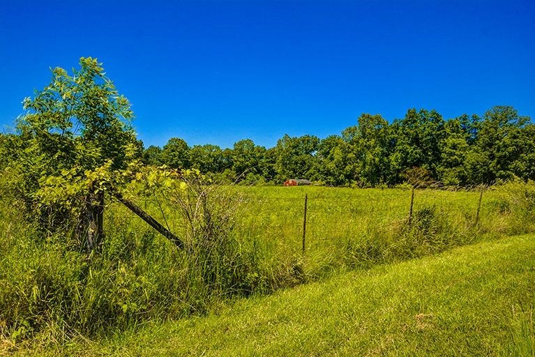 6694 Benton Road Jackson, MI 49201 - Photo 36 of 59 Photo 36