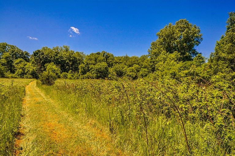 6694 Benton Road Jackson, MI 49201 - Photo 37 of 59 Photo 37