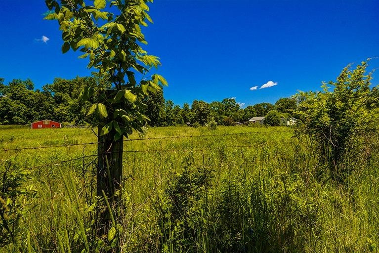 6694 Benton Road Jackson, MI 49201 - Photo 38 of 59 Photo 38
