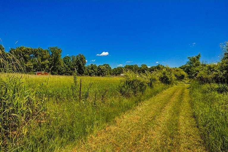 6694 Benton Road Jackson, MI 49201 - Photo 39 of 59 Photo 39