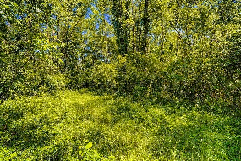 6694 Benton Road Jackson, MI 49201 - Photo 40 of 59 Photo 40