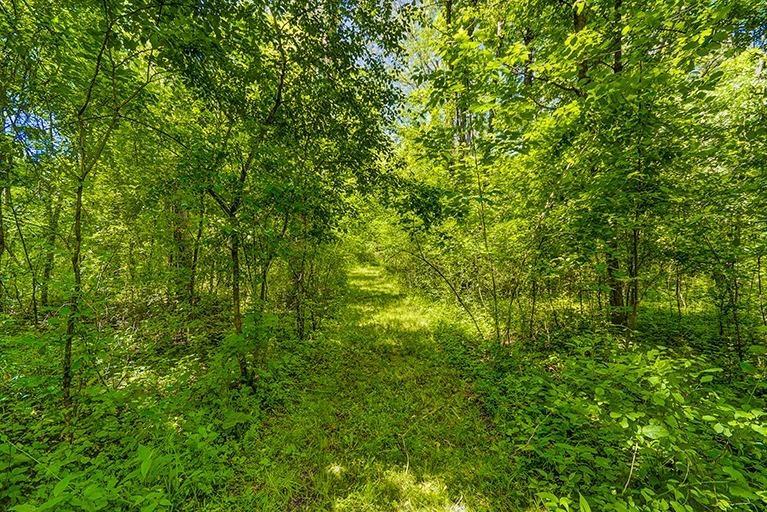 6694 Benton Road Jackson, MI 49201 - Photo 41 of 59 Photo 41