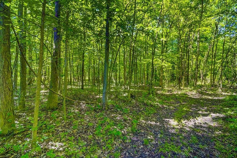 6694 Benton Road Jackson, MI 49201 - Photo 42 of 59 Photo 42