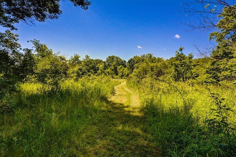 6694 Benton Road Jackson, MI 49201 - Photo 43 of 59 Photo 43