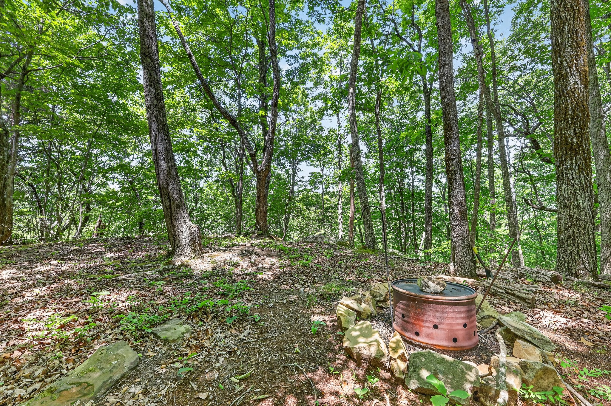 1215 Stage Coach Road Sewanee, TN 37375 - Photo 18 of 30 a view of a backyard with sitting area