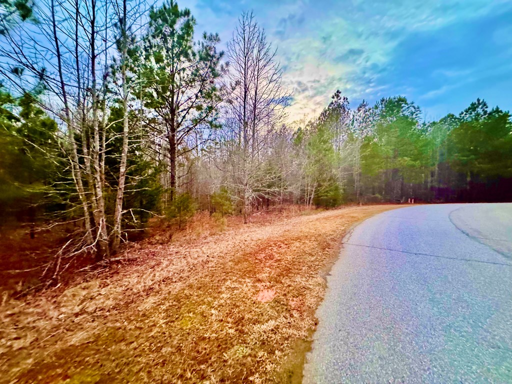 517 Terrapin Pointe Road Hodges, SC 29653 - Photo 3 of 29