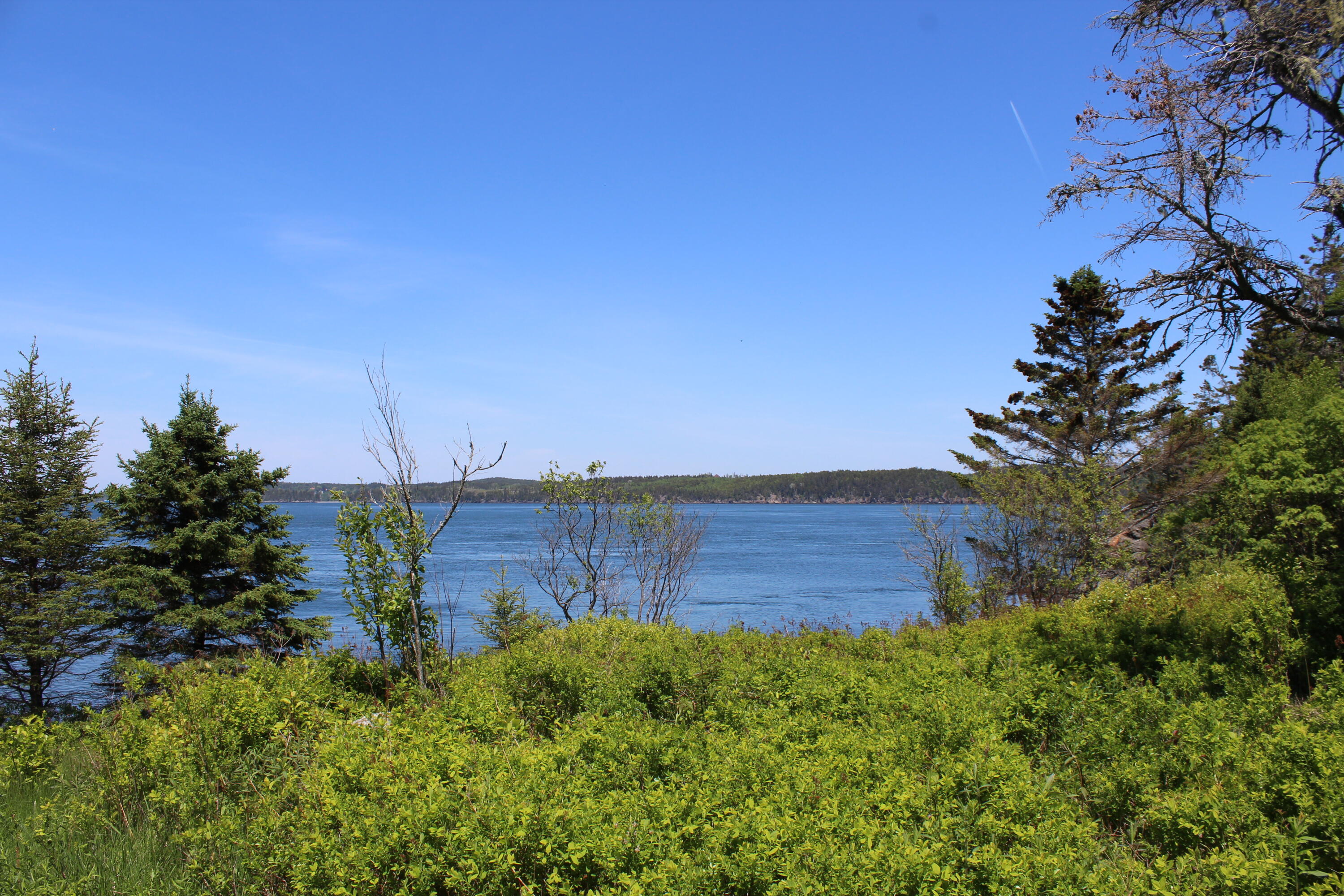 45 Kendall Head Road Eastport, ME 04631 - Photo 72 of 117 IMG_7043