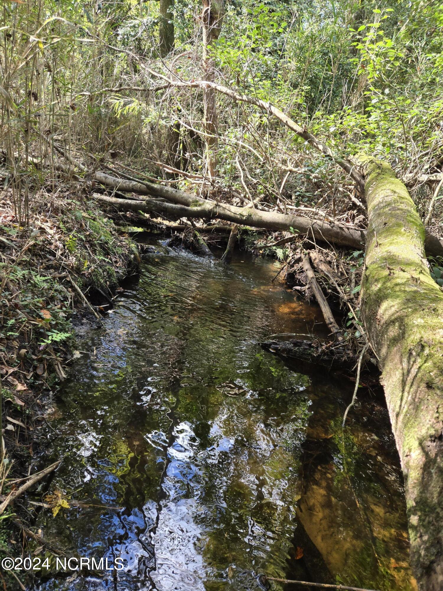 3347 Mt Misery Road Northeast Leland, NC 28451 - Photo 11 of 14 Indian Creek 3