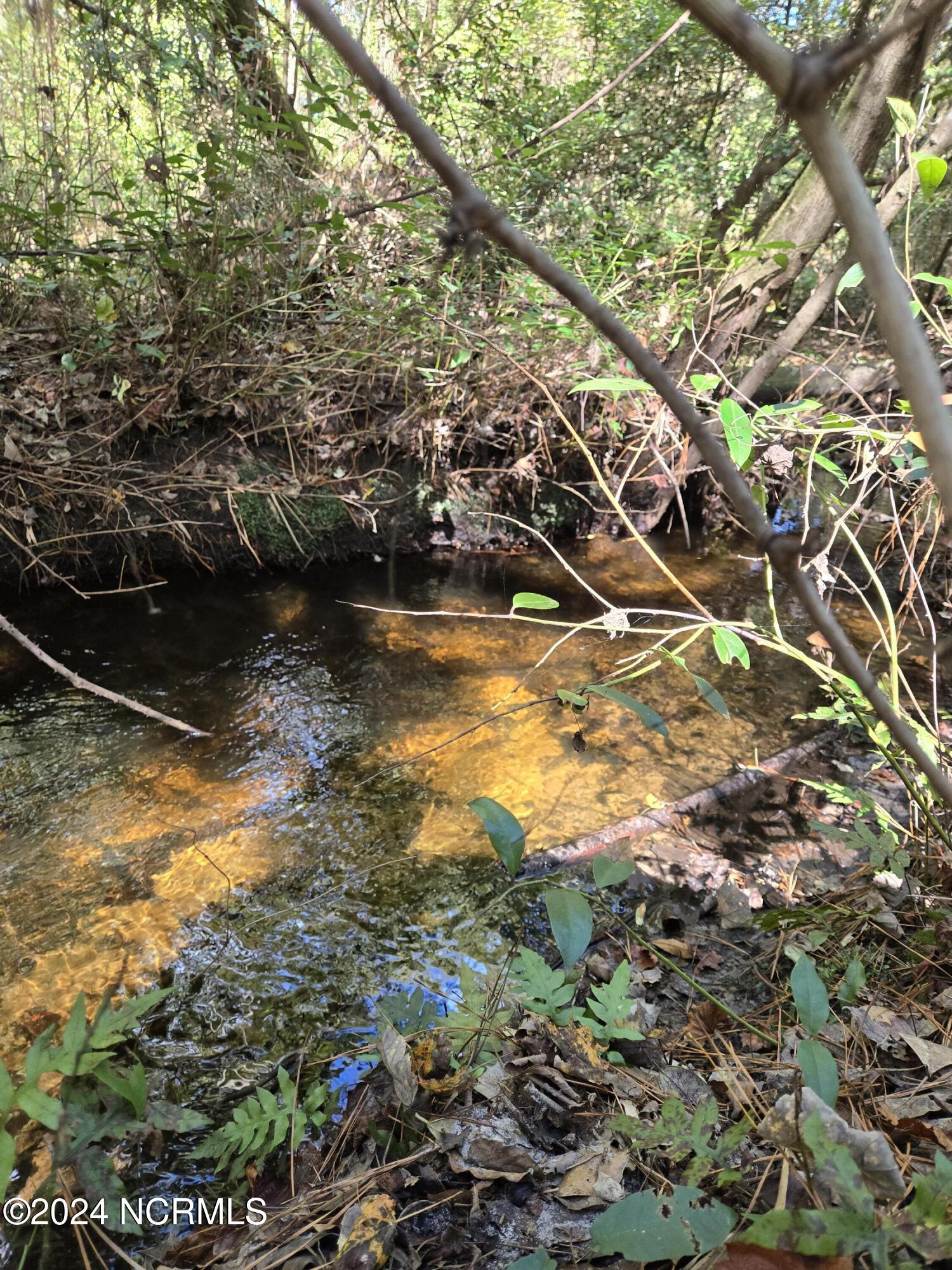 3347 Mt Misery Road Northeast Leland, NC 28451 - Photo 12 of 14 Indian Creek 4