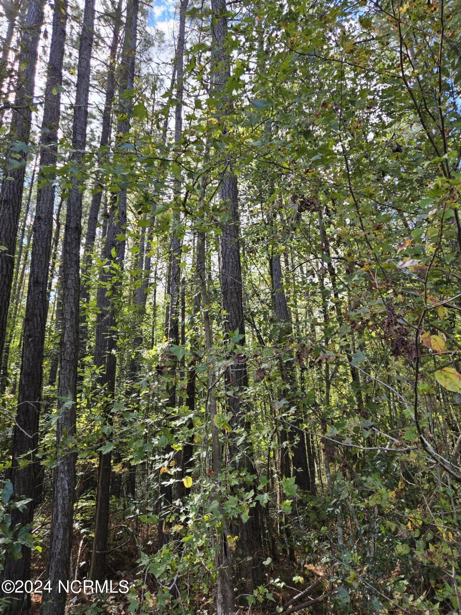 3347 Mt Misery Road Northeast Leland, NC 28451 - Photo 13 of 14 Interior View