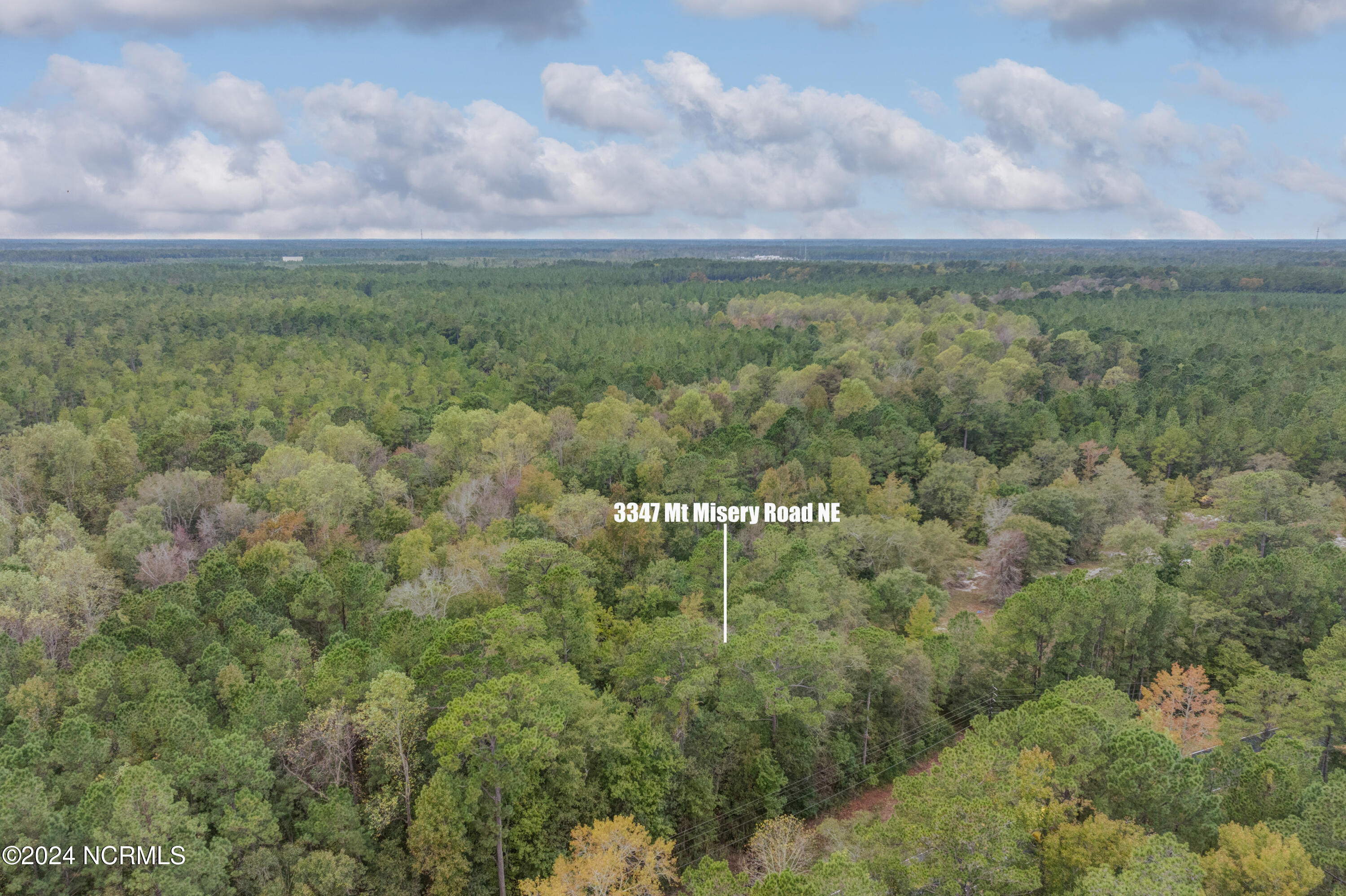 3347 Mt Misery Road Northeast Leland, NC 28451 - Photo 2 of 14 3347MtMiseryRoadNEDrone-1