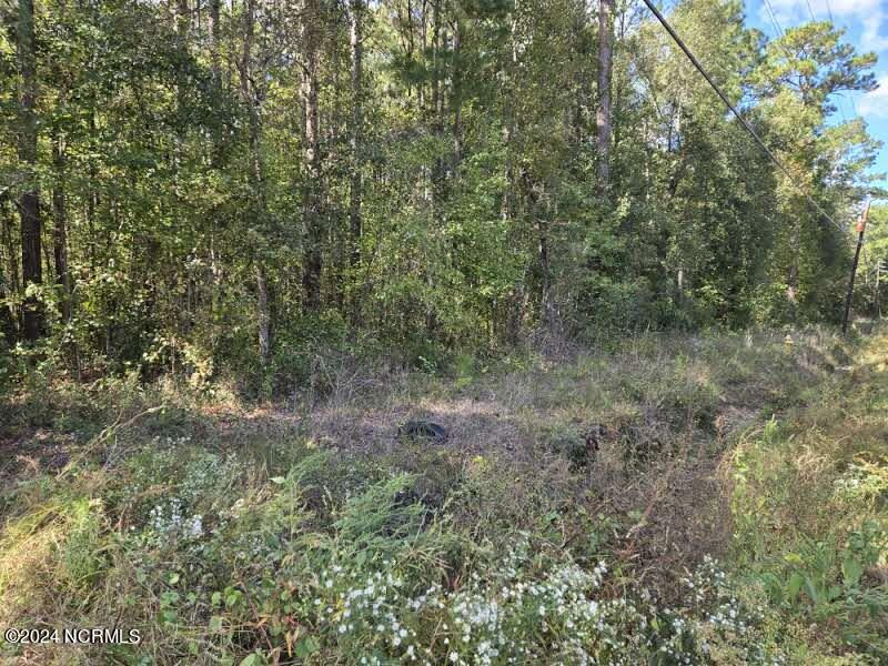 3347 Mt Misery Road Northeast Leland, NC 28451 - Photo 7 of 14 Roadview